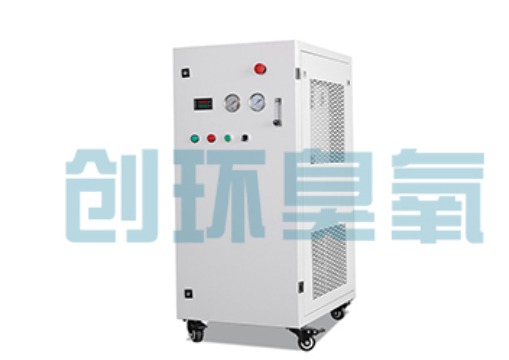 磐石石斑鱼养殖水质调控完整指南：臭氧发生器配置与操作步骤