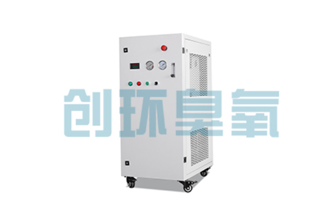 磐石比传统换水更高效？臭氧发生器在石斑鱼养殖中的水质净化原理解析